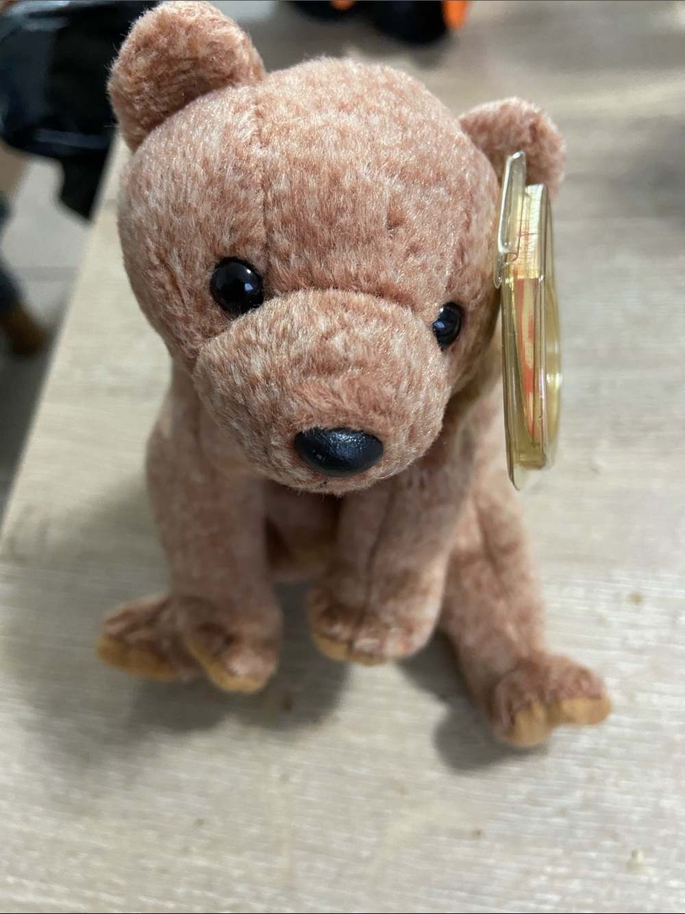 TY Beanie Babies Pecan the Tan Brown Bear DOB April 15, 1999 MWMT PE :Pellets